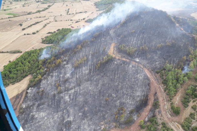Gelibolu’da orman yangını söndürüldü