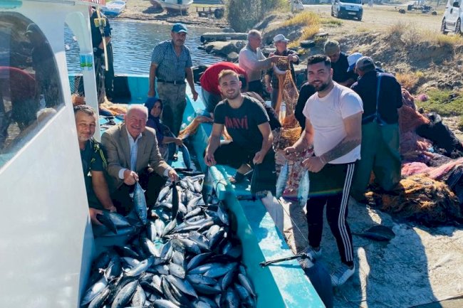 Lapseki’de palamut balığı bolluğu 