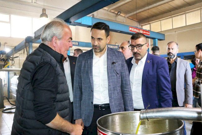 “ZEYTİN HASATI BEREKETLİ OLSUN”