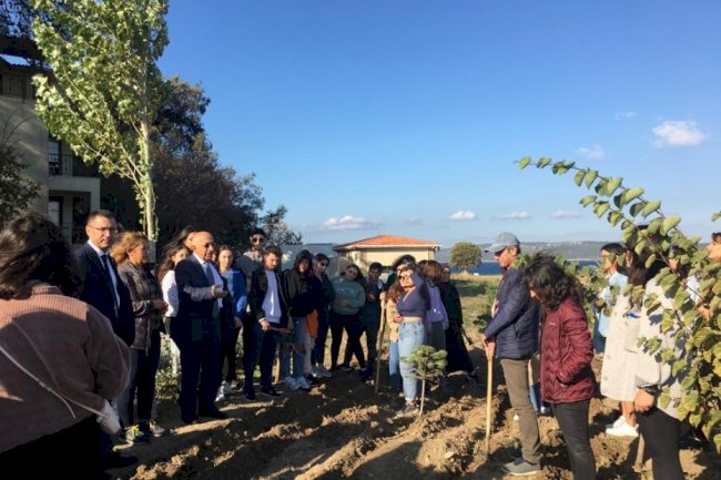 400 adet lale soğanı ekimi yapıldı