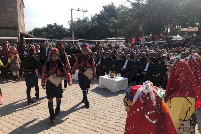 Ahmetçe Köyü’nde Zeytin Hasat Şenliği 