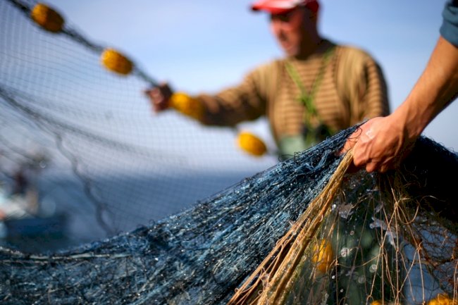 “Avrupa’nın en güçlü balıkçılık filosuna sahibiz”