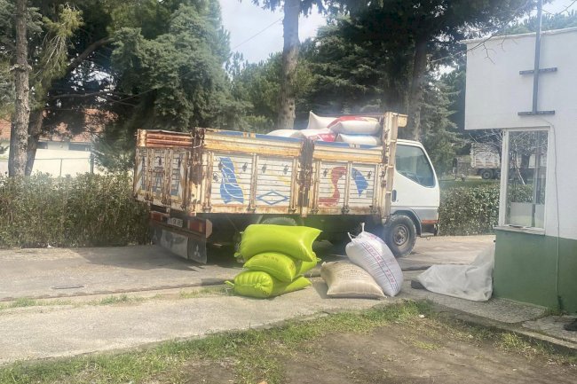 Üreticilere 1200 ton Arpa dağıtımı sürüyor