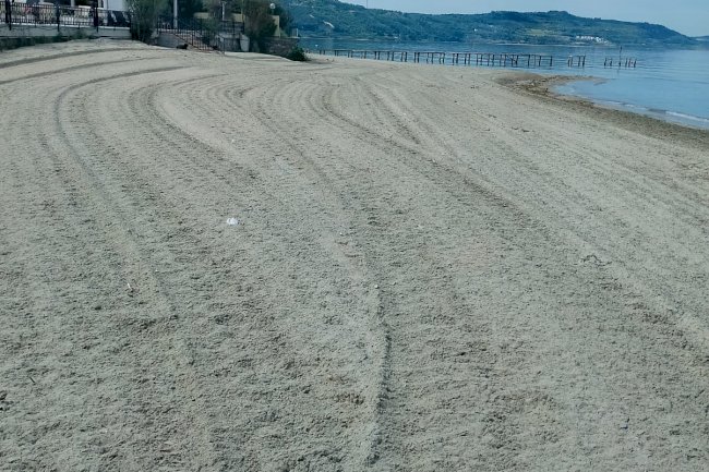 Dardanos ve Güzelyalı'da Temizlik Çalışması