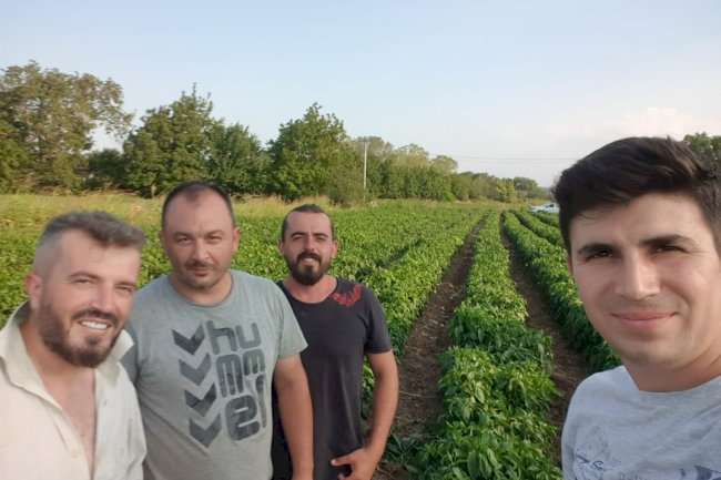 Tarla ziyaretleri sürüyor