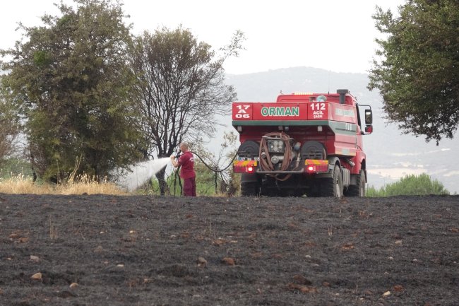 Orman yangını söndürüldü