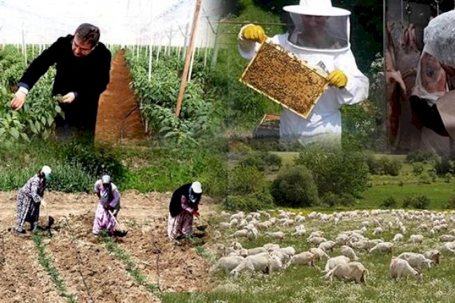 Kırsalda üretici IPARD kapsamında destekleniyor