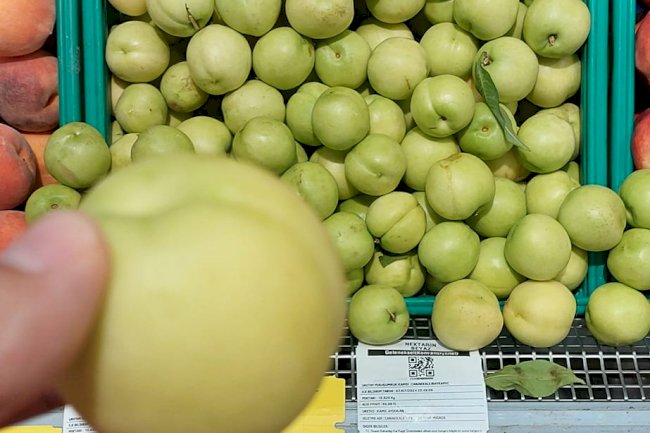Göğüsgeren’den tepki