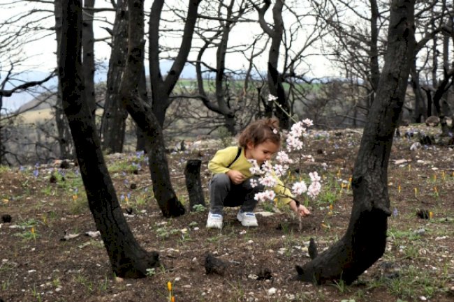 Ezine Mesleki ve Teknik Anadolu Lisesi, fotoğraf yarışmasında iki ödül kazandı