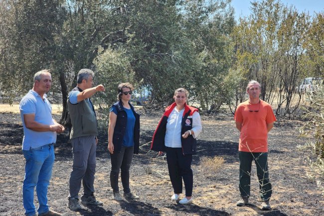 Yangın bölgesinde hasar tespit çalışması