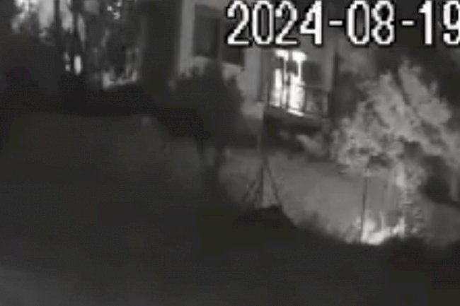 Bozcaada'da kundaklama iddiası