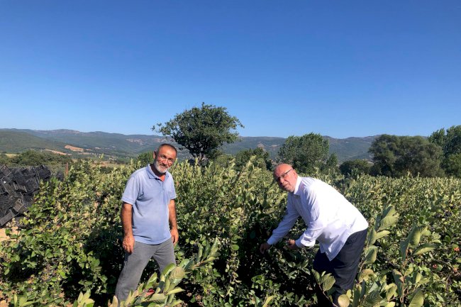 Başkan Deniz’den üreticiye tam destek