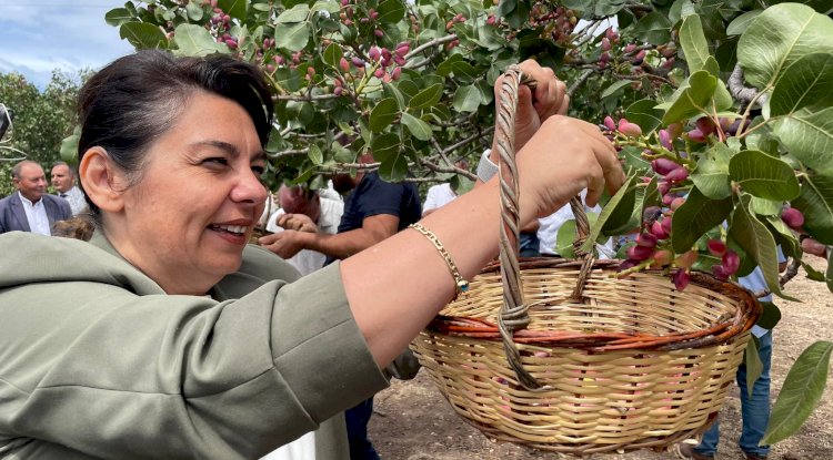 İskenderoğlu’ndan Şahin’e davet 
