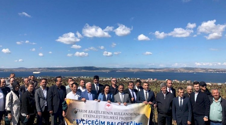 LAPSEKİ’DE AYÇİÇEĞİ HASADI  DUALARLA BAŞLADI 