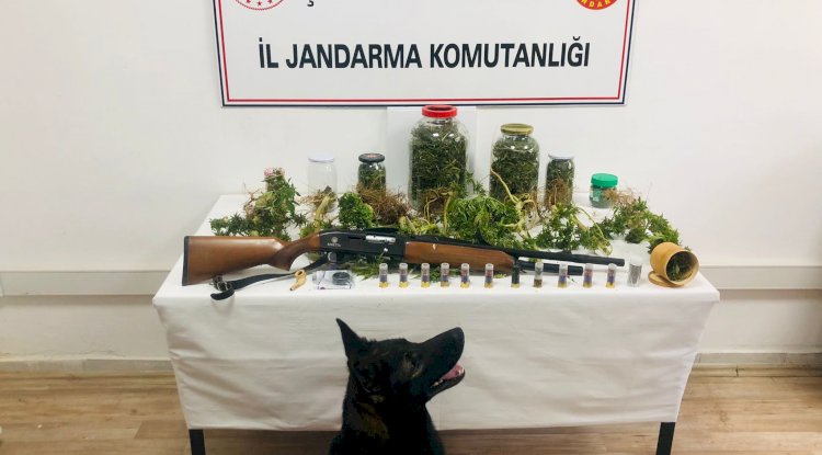 Yenice’de uyuşturucu operasyonu 