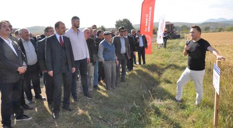 Yerli çeşit çeltikler tanıtıldı 