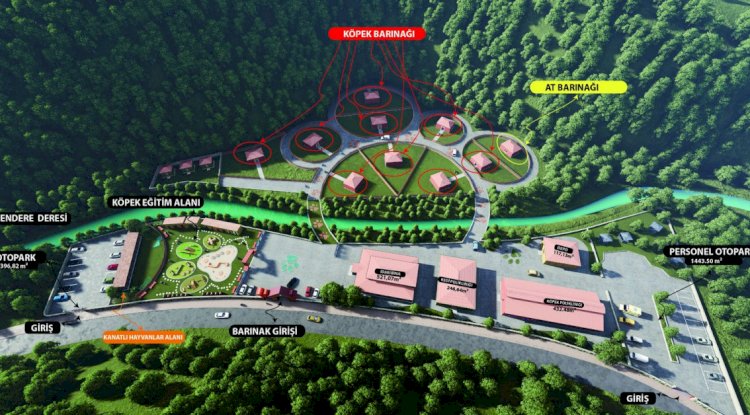 EYÜPSULTAN BELEDİYESİ’NDEN ÖRNEK PROJE  BAŞIBOŞ HAYVANLAR İÇİN BARINAK PROJESİ HAZIR