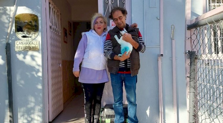 Yeni yuvalarına kavuştular