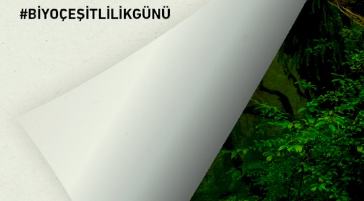 Akçansa Biyoçeşitliliği Korumak İçin Çalışıyor