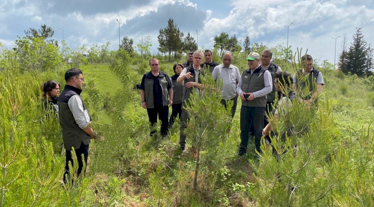 Orman Genel Müdürlüğü Heyeti Çanakkale’de