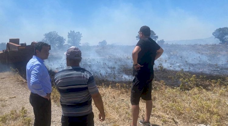 Orman yangını büyümeden söndürüldü