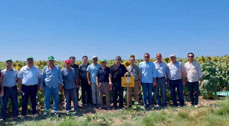 Çanakkale’de Ayçiçeği tarla günü gerçekleştirildi
