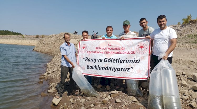 Sazan balıkları göllere bırakıldı
