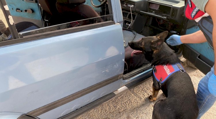 Dört ilçede uyuşturucu operasyonu düzenlendi