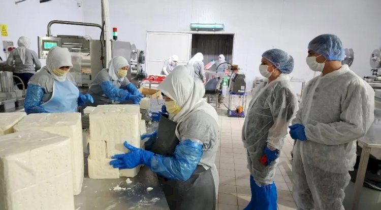 Türkarslan’dan Ezine Peyniri incelemesi