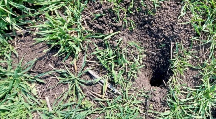 “Tarlalarınızı kontrol edin”