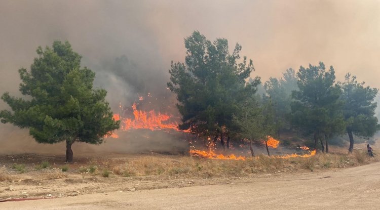 “Vatandaşlarımızın dikkatine!”