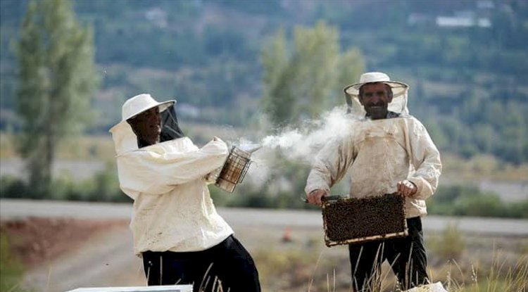 Tüm arıcıların dikkatine!