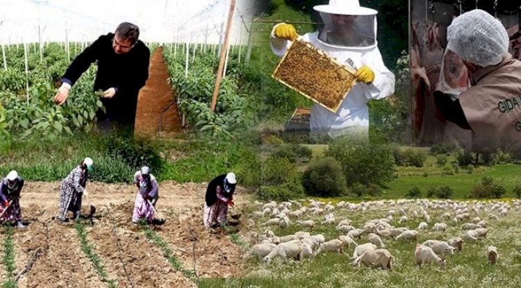 Kırsalda üretici IPARD kapsamında destekleniyor