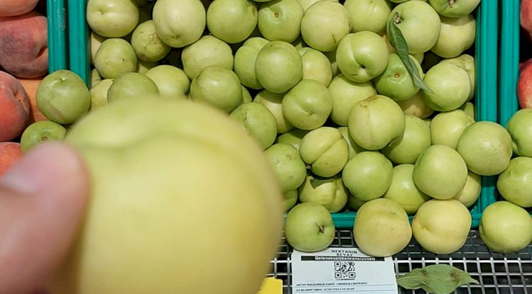 Göğüsgeren’den tepki