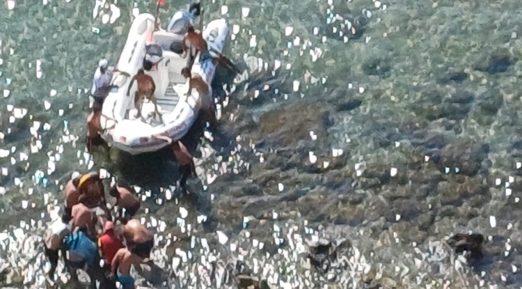 Uçurumdan Düşen Kişi Kurtarıldı