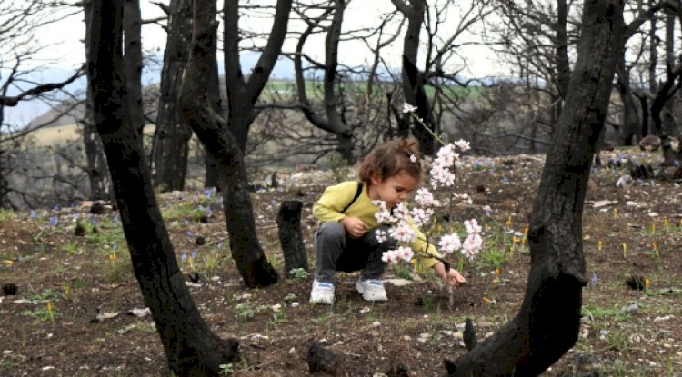 Ezine Mesleki ve Teknik Anadolu Lisesi, fotoğraf yarışmasında iki ödül kazandı