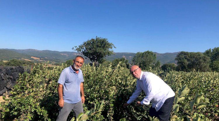 Başkan Deniz’den üreticiye tam destek