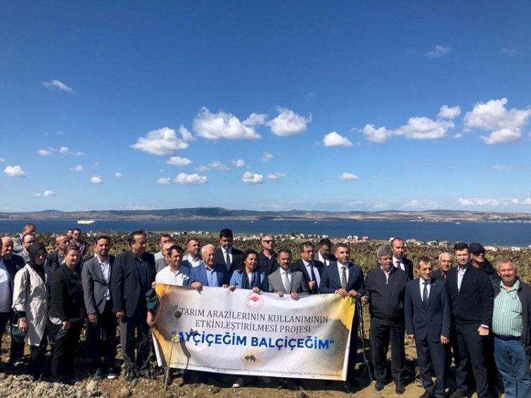 LAPSEKİ’DE AYÇİÇEĞİ HASADI  DUALARLA BAŞLADI 