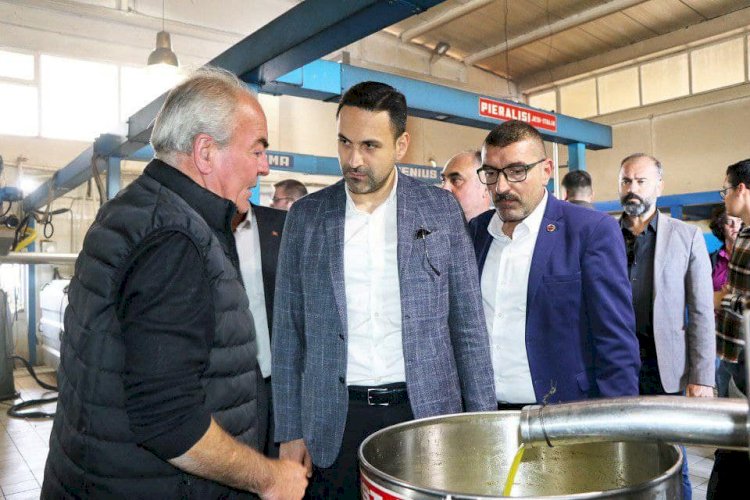 “ZEYTİN HASATI BEREKETLİ OLSUN”