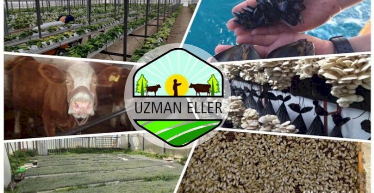 BAŞVURULAR BAŞLADI