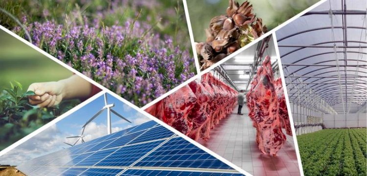 PROJE BAŞVURULARI ONAYLANDI