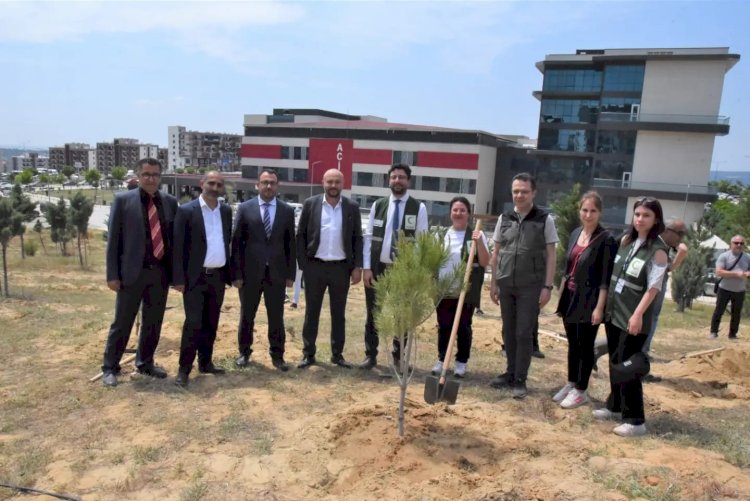 Çanakkale’de Fidanlar Toprakla Buluştu