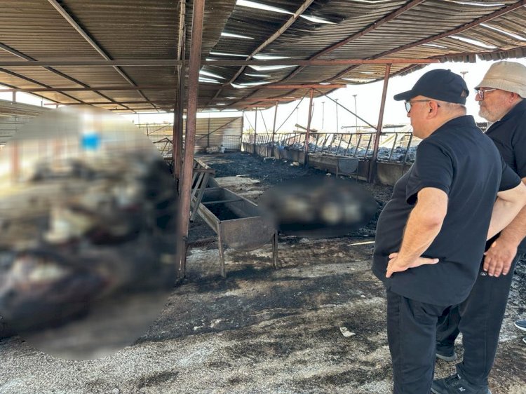 “Devletimiz üzerine düşeni yapacaktır”