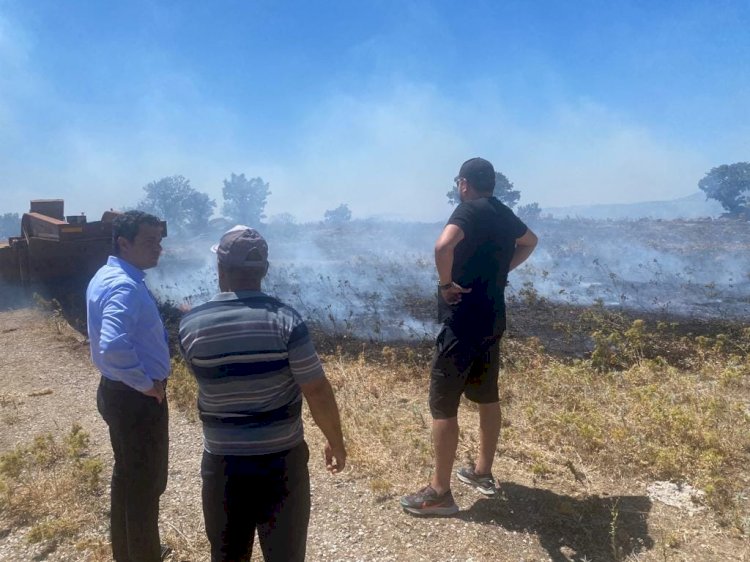 Orman yangını büyümeden söndürüldü