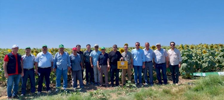Çanakkale’de Ayçiçeği tarla günü gerçekleştirildi