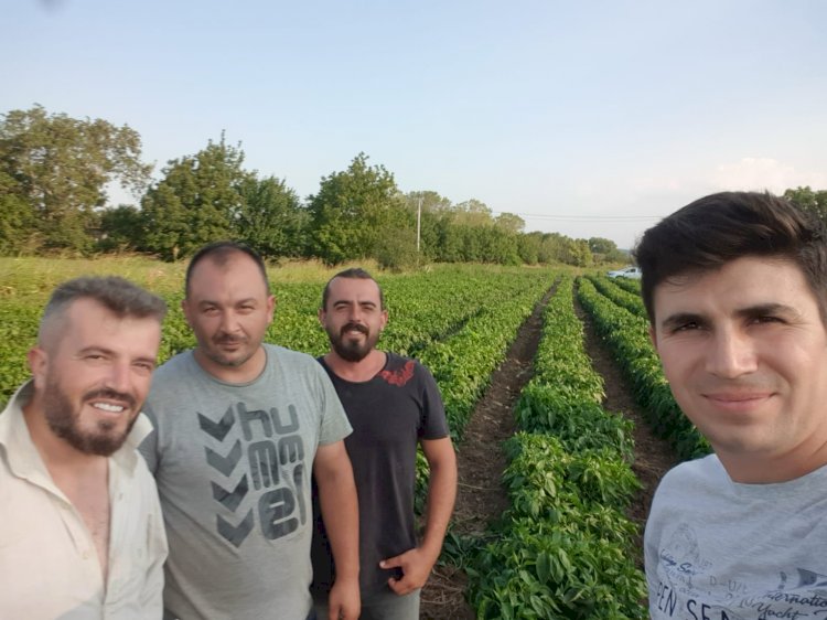 Tarla ziyaretleri sürüyor