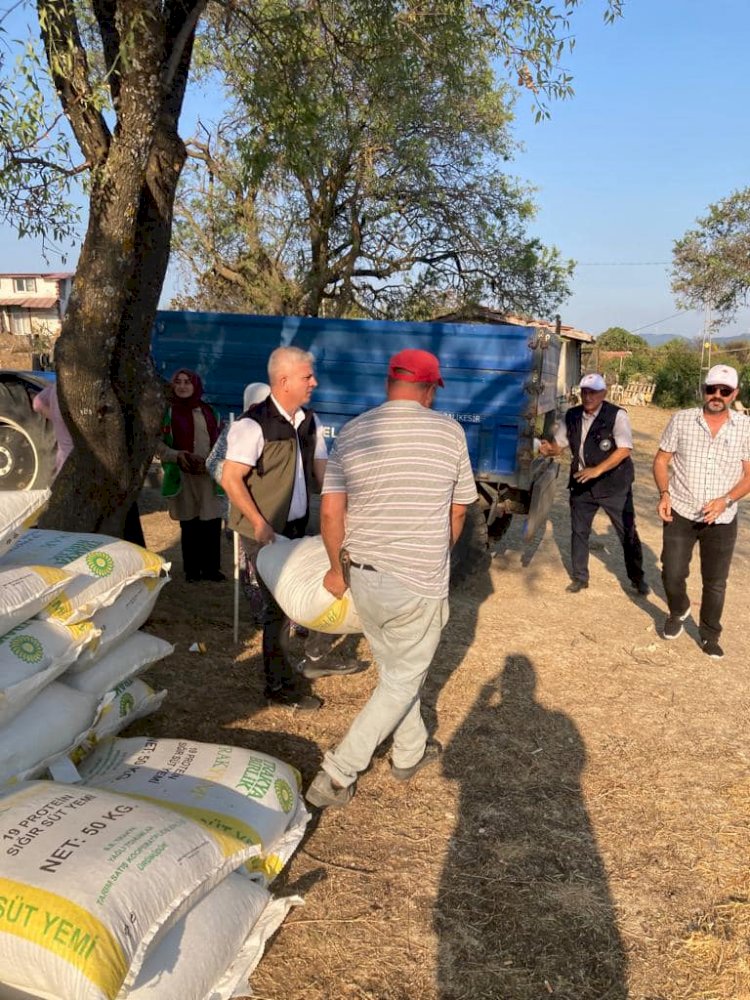 Yangından etkilenen üreticilere destekler sürüyor