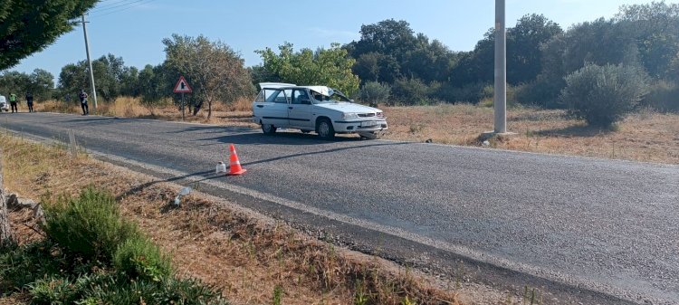 Emekli öğretim üyesi hayatını kaybetti