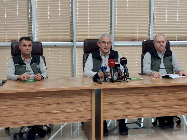 Ilgardere yangınında yaklaşık 700 hektar kül oldu