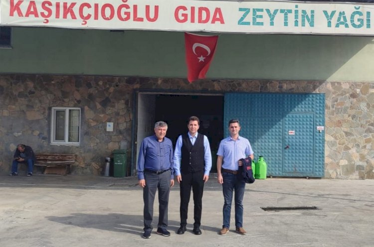 Zeytinyağı firmalarında çalışmaları inceledi